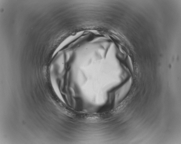 X0000078250066200611251314