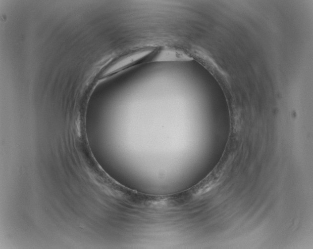 X0000078250068200611251314