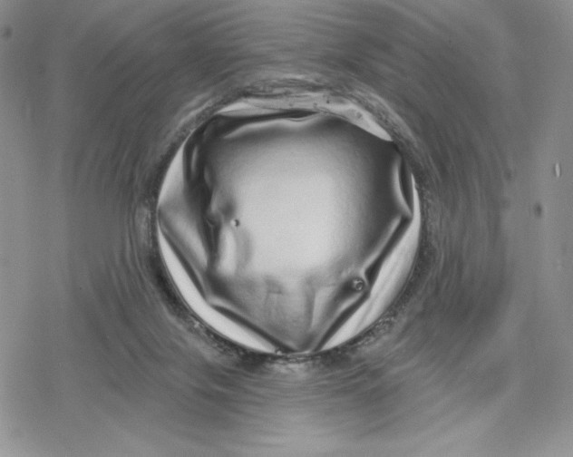 X0000078250071200611251314