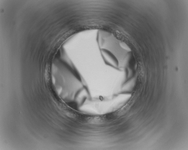 X0000078250074200611251314