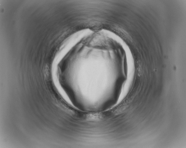 X0000078250077200611251314