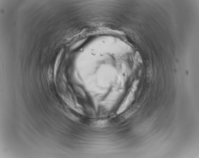 X0000078250081200611251314