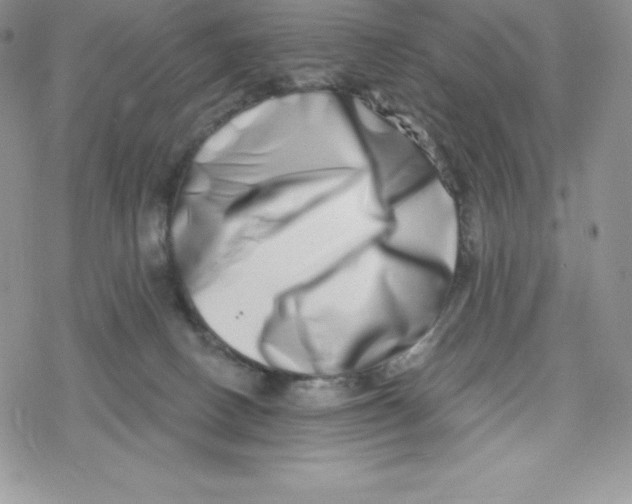 X0000078250082200611251314