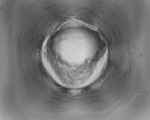X0000078250085200611251314