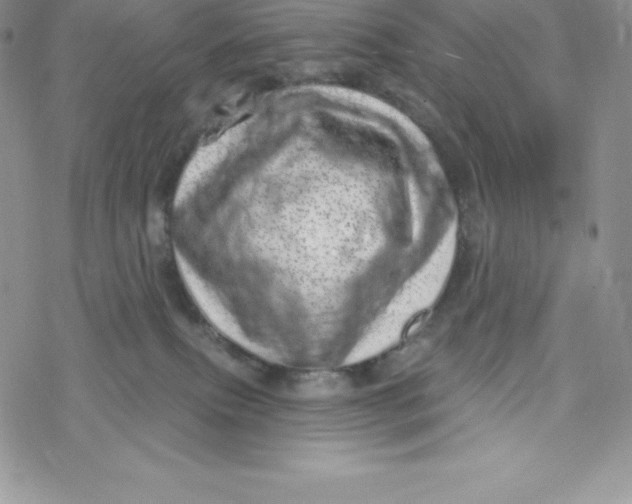 X0000078250087200611251314