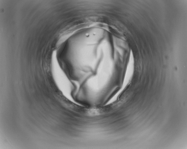 X0000078250091200611251314