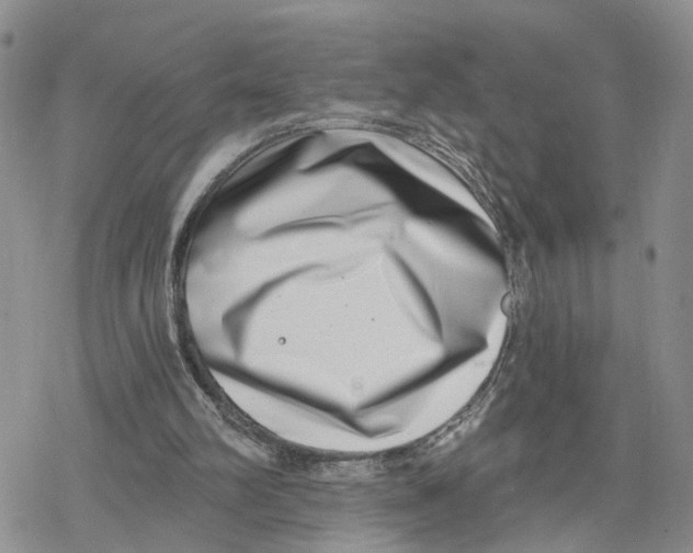 X0000078250102200611251313