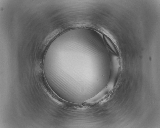X0000078250105200611251313