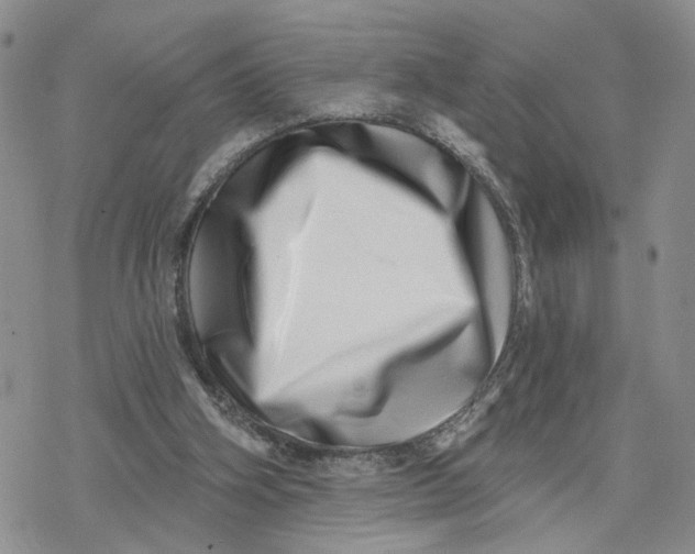 X0000078250106200611251313