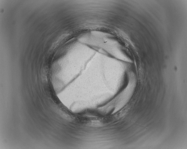 X0000078250114200611251313
