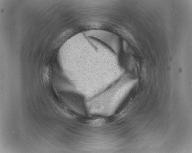 X0000078250122200611251313