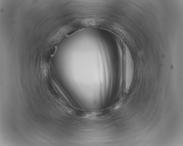 X0000078250125200611251313