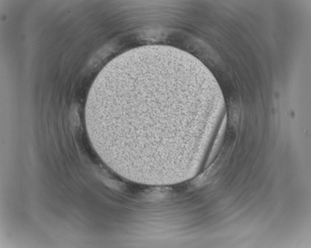 X0000078250128200611251313