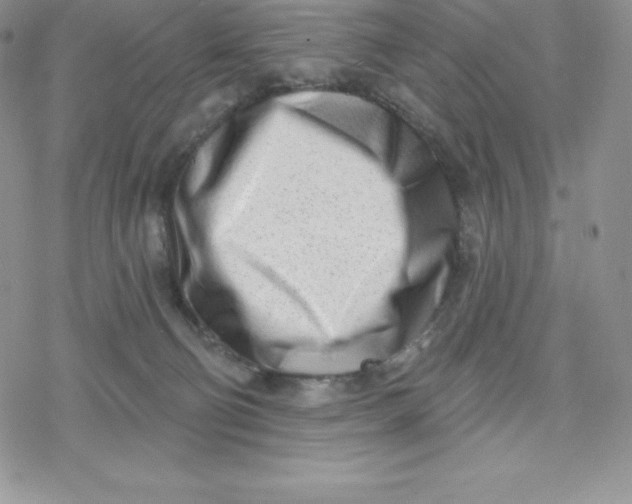 X0000078250130200611251313