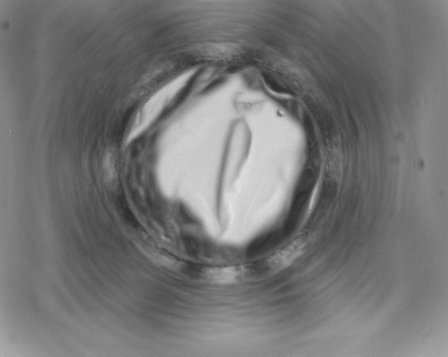X0000078250131200611251313