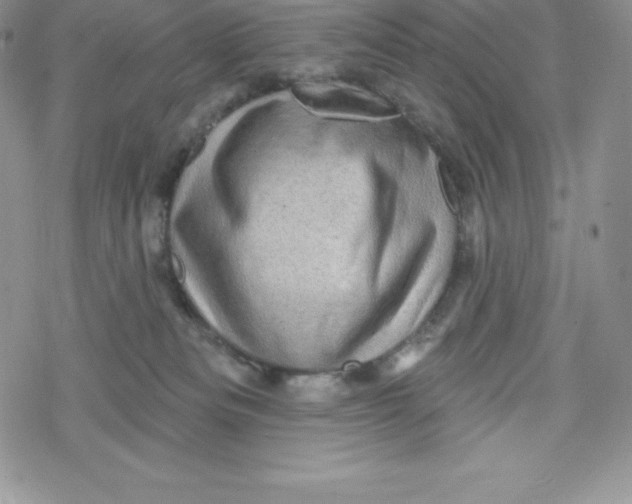 X0000078250133200611251313