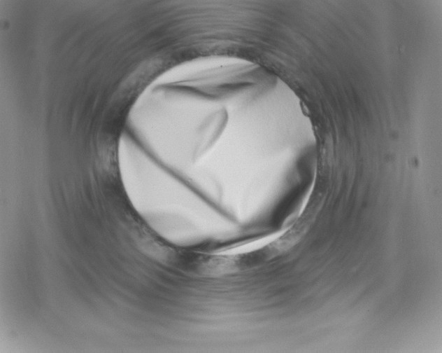 X0000078250138200611251313