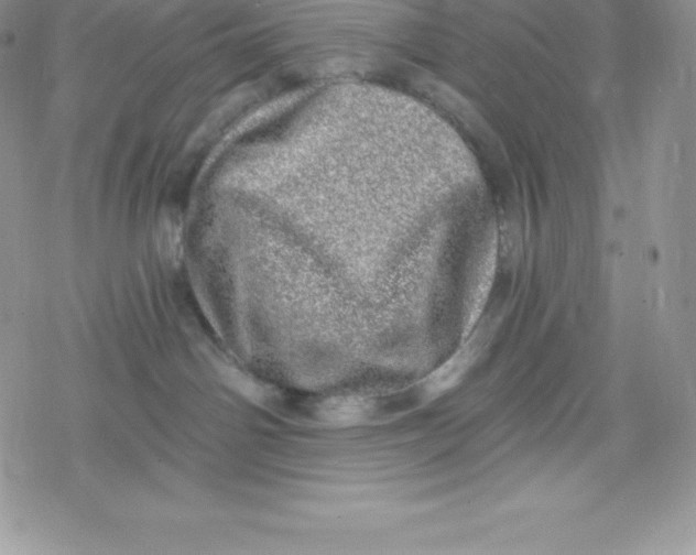 X0000078250142200611251313