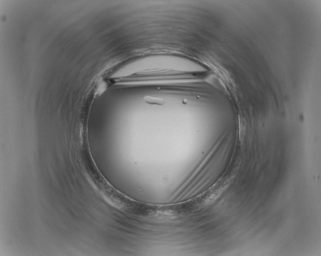 X0000078250157200611251312