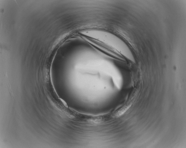 X0000078250164200611251312