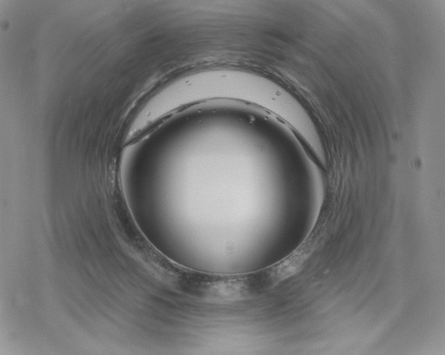X0000078250168200611251312
