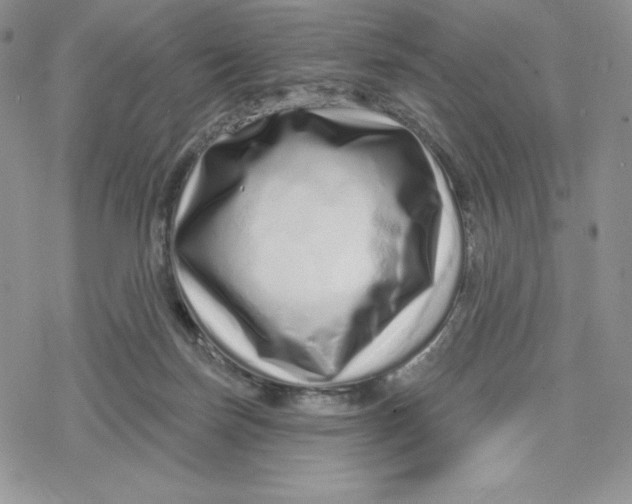 X0000078250171200611251312
