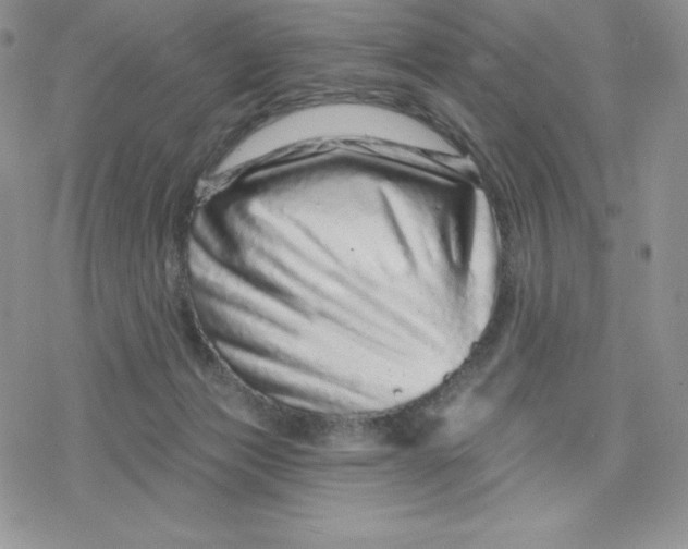 X0000078250173200611251312