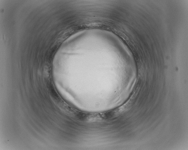 X0000078250175200611251312