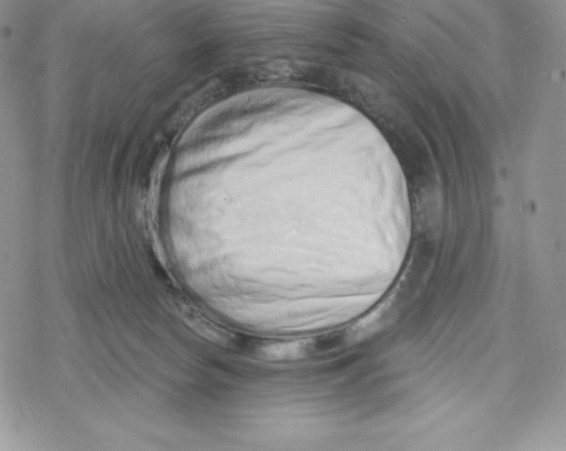 X0000078250178200611251313