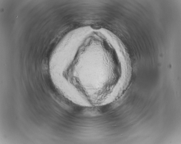 X0000078250179200611251313