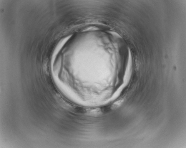 X0000078250185200611251313