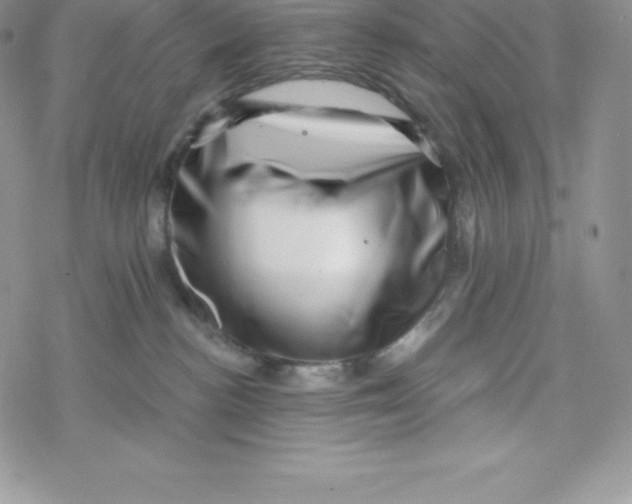 X0000078250188200611251313