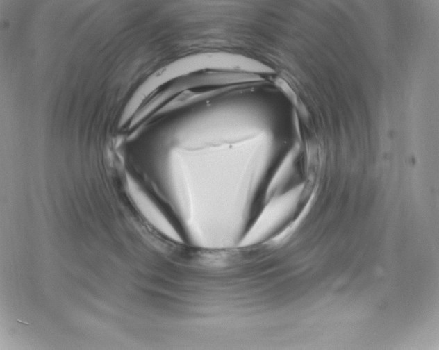 X0000078250190200611251313