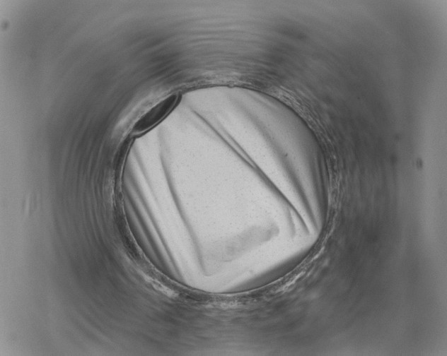 X0000078250194200611251312