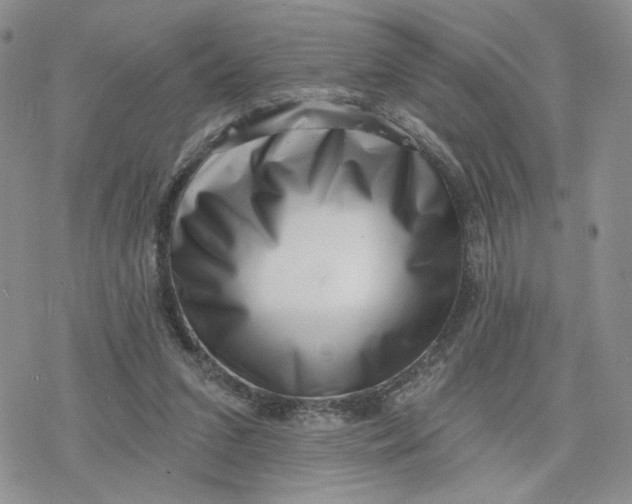 X0000078250207200611251312