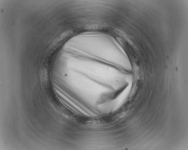 X0000078250211200611251312