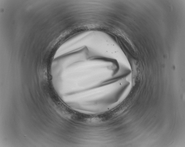 X0000078250212200611251312