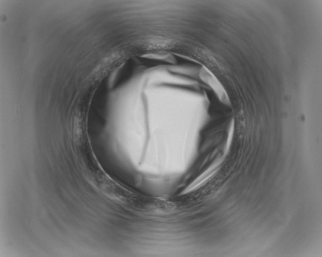 X0000078250215200611251312