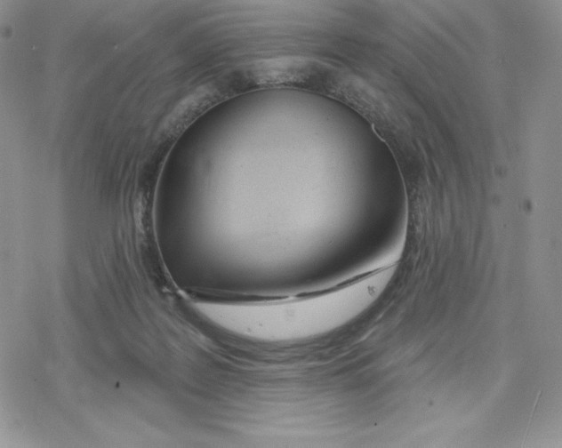 X0000078250219200611251312