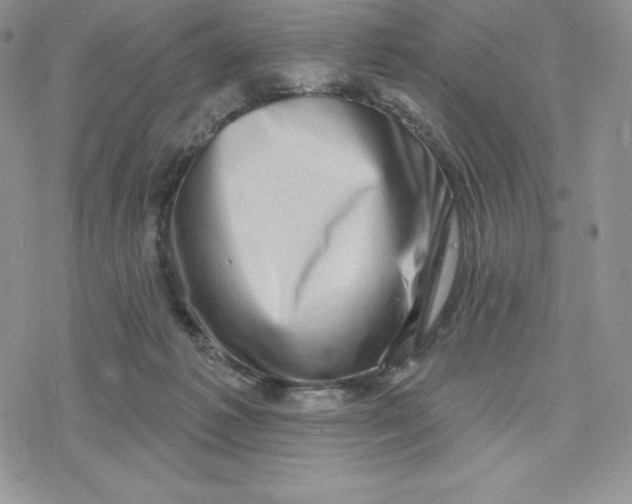 X0000078250221200611251312