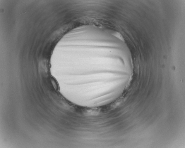 X0000078250232200611251311