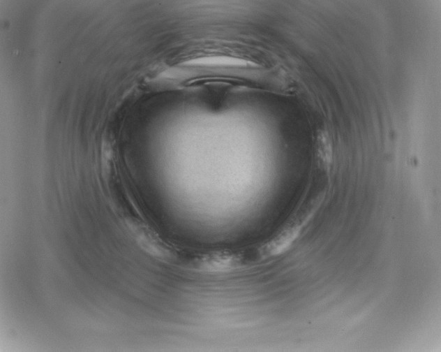 X0000078250235200611251311