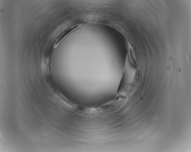 X0000078250239200611251311