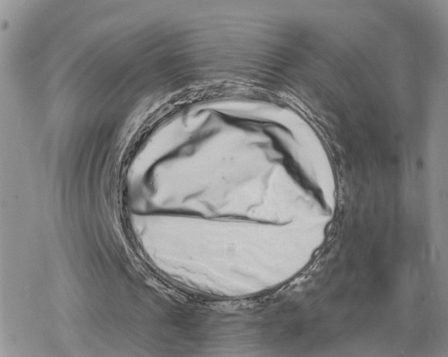 X0000078250241200611251310