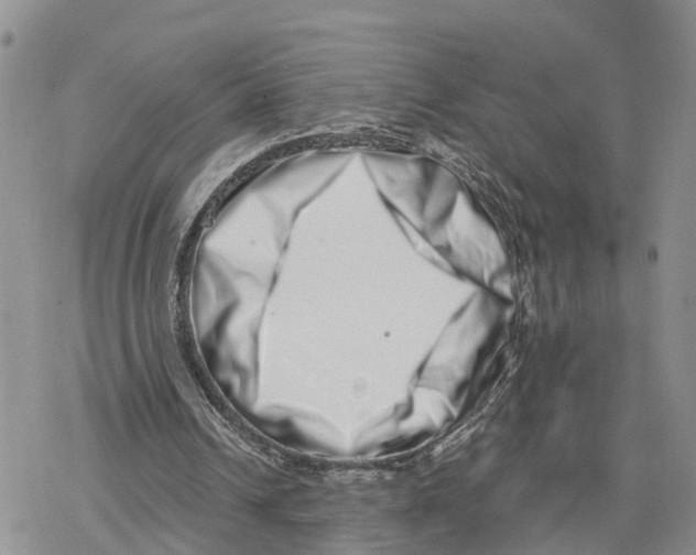 X0000078250242200611251310