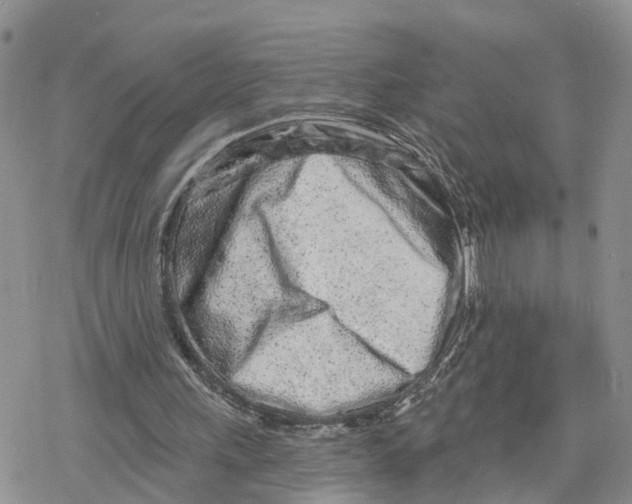 X0000078250243200611251310