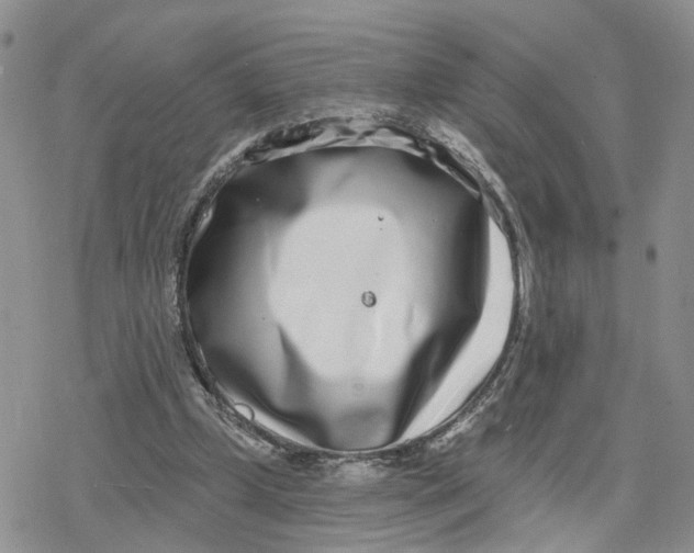 X0000078250249200611251311