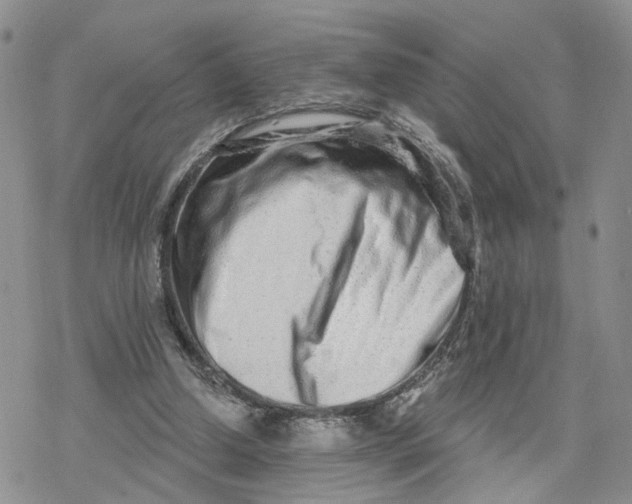 X0000078250250200611251311