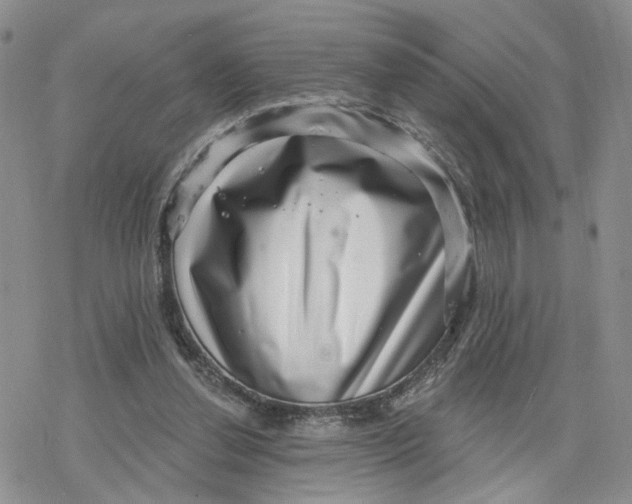 X0000078250252200611251311