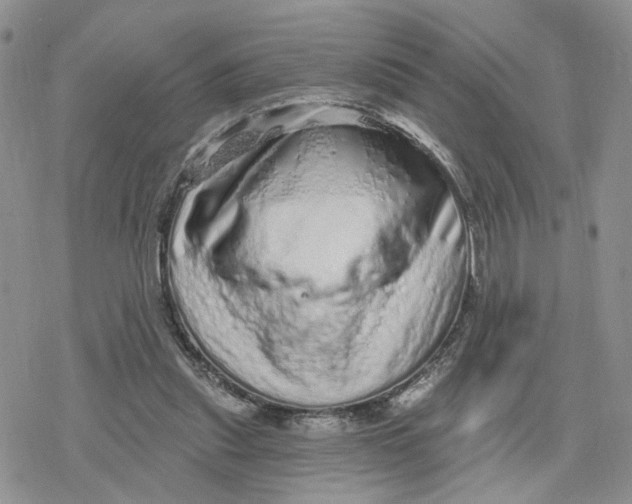 X0000078250253200611251311